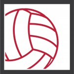 icon-volleyball